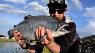 Twizel Canal Trout and Salmon [upl. by Balling]