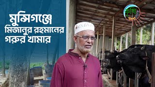 মুন্সিগঞ্জে মিজানুর রহমানের গরুর খামার  কৃষি দিবানিশি  Krishi Dibanishi  Shykh Seraj  BTV [upl. by Nimad819]