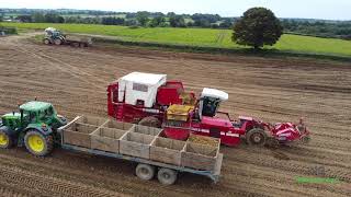 Spillanes Gibbstown Farm digging spuds and sowing winter crops [upl. by Landau]