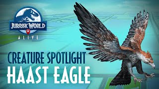 Creature Spotlight  Haast Eagle [upl. by Nnoj]