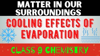 Cooling Effect of Evaporation  Matter In Our Surroundings  Class 9 Science Chapter 1 [upl. by Tigram]