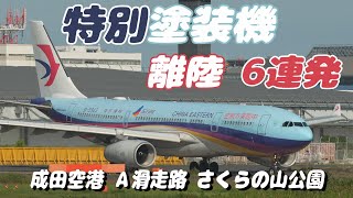 【4K】成田空港 さくらの山公園 空港より特別塗装機の離陸６連発 [upl. by Broddie257]