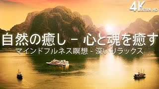 【自然の癒し  心と魂を癒す】ノリのいい曲 メドレー！ やる気を全開にさせるカッコイイ曲 [upl. by Nyrok]