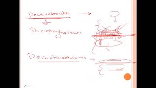 Regulation of Tone and Posture  DECEREBRATE rigidity vs DECORTICATE rigidity [upl. by Stoughton446]