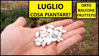 Cosa piantare nel mese di LUGLIO nellOrto e nel Frutteto  Tutorial Agricoltura [upl. by Peggie653]