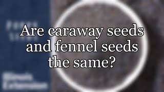 Are caraway seeds and fennel seeds the same [upl. by Eras756]