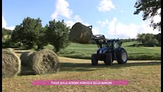 Focus sulle aziende agricole delle Marche [upl. by Ymerrej]