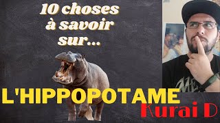 Les 10 choses à savoir sur les Hippopotames Hippopotame KuraiD 10chosesàsavoirsur n°6 [upl. by Tichon509]