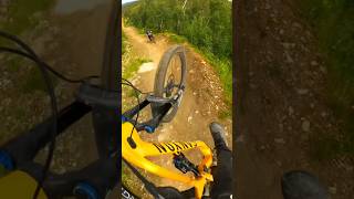 Full shred in Geilo bike park🤘🏼 mtb mountainbike mtbjumps mtblife shorts geilobikepark [upl. by Nandor]