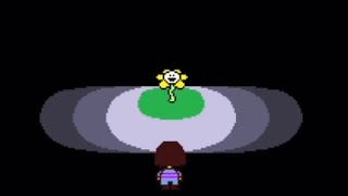 Flowey “That’s a wonderful idea” Undertale Genocide [upl. by Ellennoj103]