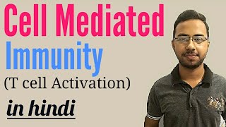 cell mediated immunity in hindi  t cell mediated immunity  innate immunity  immunology lecture [upl. by Balmuth354]