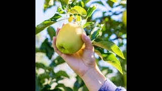 La Bio Thérapie Cellulaire de Phytoscience  lavenir de la médecine [upl. by Arim]