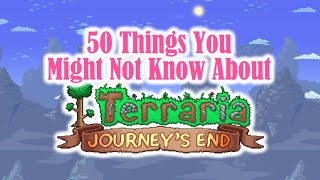 50 Things You Might Not Know About Terraria 14 [upl. by Barton]