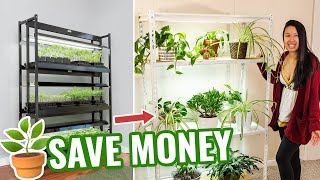 DIY Grow Light System for Plants Save HUNDREDS of Dollars 🌿 [upl. by Nylarak]