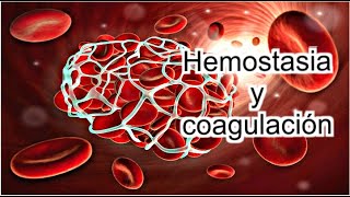 Fisiología  Hemostasia y Coagulación [upl. by Adah]