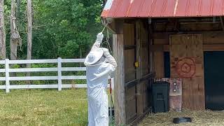 First Hand Look Exterminating a Bald Faced Hornets Nest [upl. by Glenine]