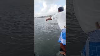 Catching the Most Expensive Barramundi Fish on the Long Bridge fishing fishingvideos seafishing [upl. by Ynnej]