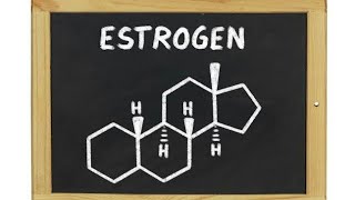 EstroneOestroneOestrogen Introduction Structure SynthesisVery Easy Way Important Of MSc [upl. by Sorci]