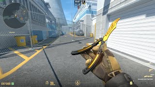 Butterfly knife Tiger Tooth Factory new Gameplay CS2 [upl. by Auvil]