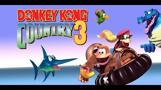 LIVE de Donkey Kong Country 3  Treino 30 [upl. by Shipp921]