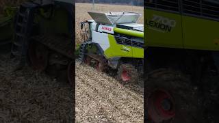 SCHLAMMSCHLACHT IM MAIS  Claas Lexion 7700 TT  Luxemburg 2022 landwirtschaft [upl. by Adnahcal]