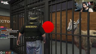 Cornwood Arrests Wildlife for Jaywalking  NoPixel GTA RP [upl. by Manno]