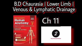 Venous and Lymphatic Drainage of Lower Limb  Chapter 11  BD Chaurasia  Volume 2 [upl. by Deste]