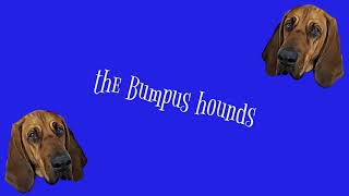 Ralphies Red Ryders  The Bumpus Hounds Lyric Video [upl. by Cortney485]