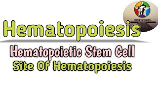 Hematopoiesis in Hindi ll Hematopoietic Stem Cell ll Site Of Hematopoiesis [upl. by Loveridge873]