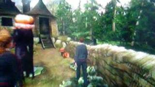 Harry Potter OotP Hagrids Hut walkthrough [upl. by Arze]