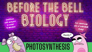 Photosynthesis Before the Bell Biology [upl. by Dodson]