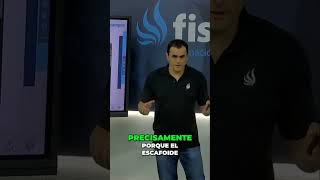 Descubre más sobre el hueso escafoides ¡Te sorprenderá ¿Quieres conocer más Fórmate como un [upl. by Naicul985]