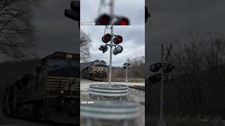 Norfolk Southern Coal Train on the Kanawha River Railroad Line [upl. by Ancalin]