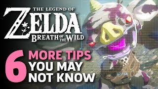 6 More Amazing Things I Wish I Knew In Zelda Breath Of The Wild [upl. by Bunker]