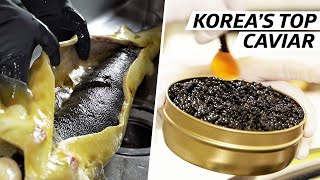 How Cheol Hong Park Produces Some of Koreas Finest Caviar — Vendors [upl. by Dom]