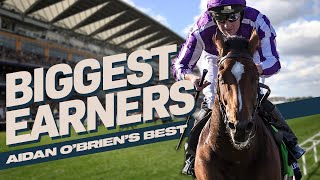 Aidan OBriens Biggest Earners  Featuring Highland Reel amp Auguste Rodin [upl. by Arriaes]