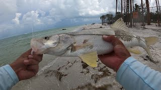 THEY WERE BITING ON THE BEACH Sanibel island fishing July 2023 [upl. by Evelin877]