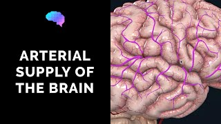 How to Read a CT Scan of the Head  MEDZCOOL [upl. by Aivizt]