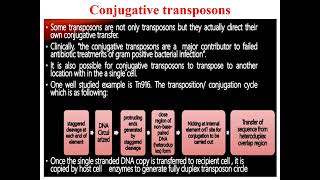 Conjugative transposons [upl. by Aronle]