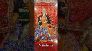 Mujh ne Gani ne Taro shortvideos navratri kirtidangadhvi viralvideos joshisshorts11 [upl. by Aihseyk]