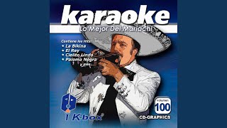 No Volveré Karaoke Version [upl. by Inhsor273]