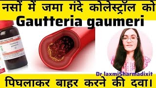 How to Reduce Cholesterol Fast  Homeopathic Medicine Guatteria gaumeri Q  How to use [upl. by Airotnahs436]