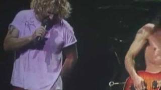 VAN HALEN  panama live 2004 [upl. by Annaj]