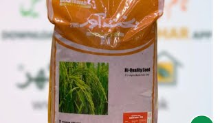 Bakhtawar Hybrid Rice Seed  Fine Supri with fragrance hybrid rice seed  Kissan Ghar  Greenlet [upl. by Aremihc]