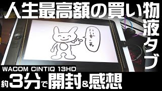 液晶タブレット Wacom Cintiq 13HD 開封ampレビューゆっくり付き [upl. by Pernell]