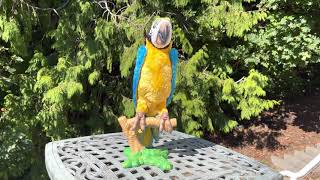 FurReal Friends Squawkers McCaw Talking Dancing Singing Parrot Bird Tiki Bar Video 2 [upl. by Rem]