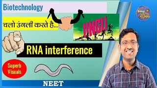 RNA interferenceRNA silencingRNAi mechanism I NEET I Dr Kunal Tatte KT [upl. by Nnasor]