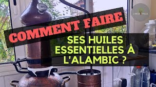 Comment faire ses HUILES ESSENTIELLES à LALAMBIC [upl. by Moberg437]