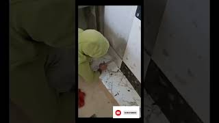 2×4 wall tiles design fitting process viral viral subscribe amazing like imran [upl. by Layol]