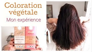 🌱 Coloration végétale Khadi  mon expérience 🌱 [upl. by Llig]